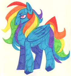 Size: 952x1012 | Tagged: safe, artist:0lijmazz, derpibooru import, rainbow dash, pegasus, pony, alternate design, female, mare, marker drawing, solo, traditional art