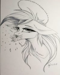 Size: 1080x1350 | Tagged: safe, artist:_quantumness_, artist:jonny_flex69, derpibooru import, oc, oc only, earth pony, pony, bedroom eyes, bust, earth pony oc, floppy ears, flower, makeup, monochrome, mouth hold, signature, solo, traditional art