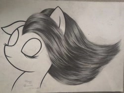 Size: 1440x1080 | Tagged: safe, derpibooru import, oc, oc only, pony, monochrome, photo, sketch, solo, traditional art