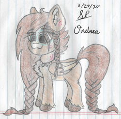 Size: 2264x2228 | Tagged: safe, artist:mlplayer dudez, derpibooru import, oc, oc only, pegasus, pony, braid, chest fluff, colored, cute, ear fluff, ear piercing, earring, eye clipping through hair, female, fluffy, folded wings, happy, jewelry, leg fluff, mare, necklace, piercing, signature, smiling, solo, standing, traditional art, unshorn fetlocks, wings