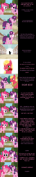 Size: 1280x6195 | Tagged: safe, artist:mlp-silver-quill, big macintosh, pinkie pie, sugar belle, earth pony, pony, comic:pinkie pie says goodnight, comic, eyes closed, flower, our town, rose, shocked, shocked expression, sugarmac, this will end in kisses
