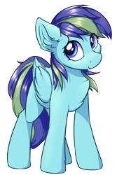 Size: 1200x1800 | Tagged: safe, artist:ravistdash, derpibooru exclusive, derpibooru import, oc, oc:rainbowsine finn, pegasus, 2021 community collab, derpibooru community collaboration, simple background, smiling, solo, standing, transparent background