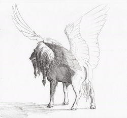 Size: 2000x1849 | Tagged: safe, artist:lady-limule, derpibooru import, oc, oc only, pegasus, pony, grayscale, inktober 2017, male, monochrome, pegasus oc, solo, stallion, traditional art, wings