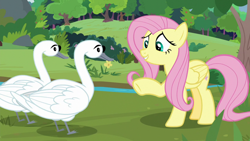 Size: 1920x1080 | Tagged: safe, derpibooru import, screencap, fluttershy, bird, pegasus, pony, swan, the last problem, sweet feather sanctuary, tree