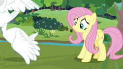 Size: 1920x1080 | Tagged: safe, derpibooru import, screencap, fluttershy, bird, pegasus, pony, swan, the last problem, sweet feather sanctuary, tree