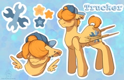 Size: 1122x726 | Tagged: safe, artist:bellezebub, artist:rosethebunny, derpibooru import, oc, oc:trucker, pegasus, backwards hat, cutie mark, piercing, reference sheet