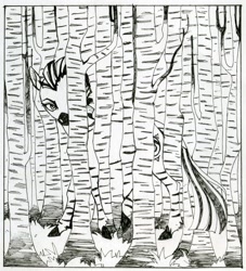 Size: 1448x1595 | Tagged: safe, artist:weird--fish, derpibooru import, oc, oc only, zebra, birch, monochrome, solo, traditional art, tree, watercolor painting