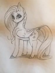 Size: 768x1024 | Tagged: safe, artist:miokomata, derpibooru import, fluttershy, pegasus, pony, butt, cute, female, freckles, freckleshy, looking at you, mare, monochrome, pencil drawing, plot, shyabetes, solo, traditional art