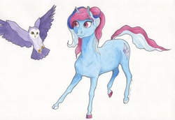 Size: 3007x2073 | Tagged: safe, artist:lady-limule, derpibooru import, oc, oc only, bird, earth pony, owl, pony, colored hooves, earth pony oc, female, flying, mare, smiling, traditional art