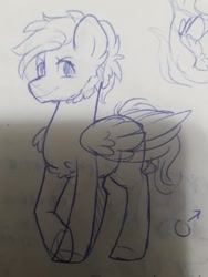 Size: 720x960 | Tagged: safe, artist:silentwolf-oficial, derpibooru import, oc, oc only, pegasus, pony, chest fluff, grayscale, lineart, male, monochrome, pegasus oc, raised hoof, solo, stallion, traditional art, wings