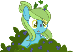 Size: 1024x724 | Tagged: safe, artist:prinesspup, derpibooru import, oc, oc:blueberry skies, earth pony, pony, blueberry, bush, female, food, mare, simple background, solo, transparent background