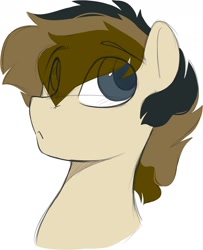 Size: 1183x1460 | Tagged: safe, artist:crimmharmony, derpibooru import, oc, oc only, pony, bust, eye clipping through hair, eyebrows visible through hair, male, simple background, solo, stallion, white background