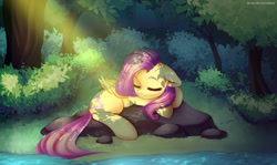 Size: 5045x3000 | Tagged: safe, artist:tatar.sauce, derpibooru import, fluttershy, pegasus, pony, female, forest, mare, river, sleeping, solo, stream