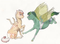 Size: 2900x2161 | Tagged: safe, artist:lady-limule, derpibooru import, oc, oc only, oc:chicken wings, pegasus, pony, bandage, pegasus oc, traditional art, wings