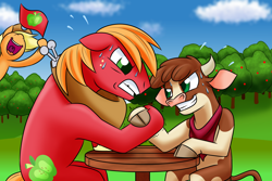 Size: 1800x1200 | Tagged: safe, artist:redahfuhrerking, derpibooru import, applejack, arizona cow, big macintosh, cow, earth pony, pony, them's fightin' herds, cheering, crossover, flag, grin, gritted teeth, hoofwrestle, open mouth, smiling, sweat, sweet apple acres, uvula, volumetric mouth