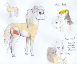 Size: 2000x1674 | Tagged: safe, artist:lady-limule, derpibooru import, oc, oc only, bird, earth pony, pony, toucan, earth pony oc, female, glasses, mare, reference sheet, story included, traditional art