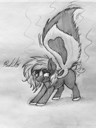 Size: 756x1008 | Tagged: safe, artist:reekosukanku, derpibooru import, oc, oc:reeko, pony, skunk, skunk pony, female, mare, monochrome, raised tail, rule 63, smelly, solo, stink lines, tail, traditional art