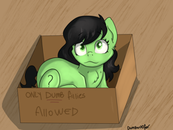 Size: 4000x3001 | Tagged: safe, oc, oc only, oc:anon filly, earth pony, pony, behaving like a cat, box, female, filly, if i fits i sits, pony in a box, solo