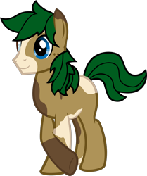 Size: 4033x4817 | Tagged: safe, artist:tales-fables, derpibooru import, oc, oc:swift shade, earth pony, pony, absurd resolution, male, simple background, solo, stallion, transparent background