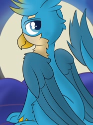 Size: 1024x1366 | Tagged: safe, artist:skyflys, derpibooru import, gallus, griffon, looking at you, solo, teenager