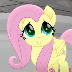 Size: 1080x1080 | Tagged: safe, derpibooru import, screencap, fluttershy, pegasus, pony, rainbow roadtrip, cropped, cute, female, mare, shyabetes, solo