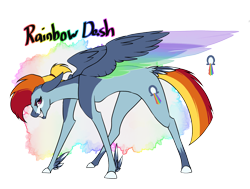 Size: 1714x1298 | Tagged: safe, artist:erroremma, derpibooru import, rainbow dash, pegasus, pony, colored wings, feathered fetlocks, female, mare, multicolored wings, rainbow wings, redesign, simple background, solo, tail feathers, transparent background, wings