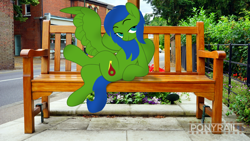 Size: 6000x3376 | Tagged: safe, artist:indonesiarailroadpht, derpibooru import, oc, oc only, oc:checkpoint, pegasus, pony, bench, building, female, fence, irl, looking at you, mare, photo, ponies in real life, road, sidewalk, watermark