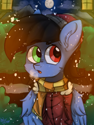 Size: 1200x1600 | Tagged: safe, artist:mjsw, derpibooru import, oc, oc only, oc:glorious shark, pegasus, pony, clothes, commission, forest, heterochromia, male, snow, snowfall, solo, stallion, winter