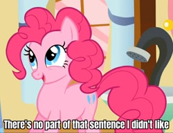 Size: 1306x1003 | Tagged: safe, derpibooru import, edit, edited screencap, screencap, pinkie pie, earth pony, pony, feeling pinkie keen, cropped, cute, diapinkes, futurama, happy, open mouth, reaction image, smiling, solo, zoidberg