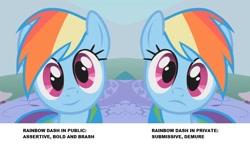 Size: 938x547 | Tagged: safe, derpibooru import, edit, screencap, rainbow dash, pegasus, pony, dragonshy, breaking the fourth wall, cropped, cute, dashabetes, female, frown, looking at you, mare, reaction image, smiling, solo, stare, wide eyes