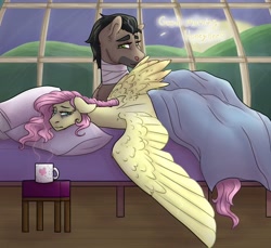 Size: 1280x1173 | Tagged: safe, artist:periwinklechick, derpibooru import, doctor caballeron, fluttershy, earth pony, pegasus, pony, bags under eyes, bed, caballershy, coffee mug, female, male, morning, morning ponies, mug, shipping, spread wings, straight, sunrise, wings
