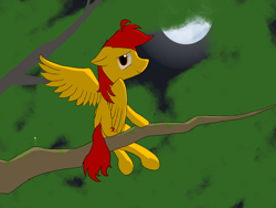 Size: 4098x3074 | Tagged: safe, artist:red hammer, artist:to touru, derpibooru import, oc, oc:red hammer, pegasus, feather, leaf, moon, solo, tree, tree branch