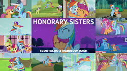 Size: 1984x1117 | Tagged: safe, derpibooru import, edit, edited screencap, editor:quoterific, screencap, apple bloom, applejack, cherry cola, cherry fizzy, comet tail, pinkie pie, rainbow dash, rarity, scootaloo, twilight sparkle, earth pony, pegasus, pony, unicorn, brotherhooves social, crusaders of the lost mark, equestria games (episode), flight to the finish, make new friends but keep discord, newbie dash, owl's well that ends well, parental glideance, sleepless in ponyville, the mysterious mare do well, apple, apple core, apple tree, best pony, book, cap, clothes, cute, cutealoo, dashabetes, dress, female, feminism, filly, food, hat, heartwarming, helmet, jumprope, male, mare, ponyville, rainbow dash always dresses in style, scootalove, scooter, stallion, tent, text, tree, winsome falls