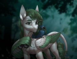 Size: 1280x992 | Tagged: safe, artist:basilllisk, derpibooru import, oc, oc only, bird, pegasus, pony, binoculars, commission, digital art, forest, solo, tail, tree, wings