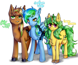 Size: 2254x1876 | Tagged: safe, artist:eli fall, derpibooru import, oc, oc only, oc:chiller sway, oc:lemon breeze, oc:seafoam wake, pegasus, pony, unicorn, chest fluff, family, family photo, female, fluffy, fullbody, group, looking at you, male, mare, names, scabbard, simple background, sling, smiling, smirk, stallion, transparent background, unshorn fetlocks