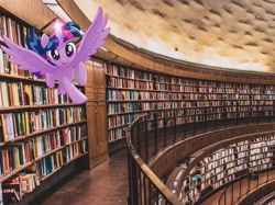 Size: 2549x1911 | Tagged: safe, derpibooru import, twilight sparkle, twilight sparkle (alicorn), alicorn, pony, my little pony: the movie, book, bookhorse, bookshelf, cute, flying, happy, irl, library, looking at you, open mouth, photo, ponies in real life, smiling, solo, stock vector, that pony sure does love books, twiabetes