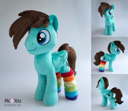 Size: 1600x1398 | Tagged: safe, artist:meplushyou, derpibooru import, oc, oc:zeuma cloudstrider, pegasus, pony, clothes, irl, male, photo, plushie, rainbow socks, socks, solo, stallion, striped socks