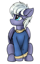 Size: 816x1296 | Tagged: safe, derpibooru import, oc, oc only, pegasus, pony, 2020 community collab, clothes, derpibooru community collaboration, looking up, simple background, sitting, solo, sweater, transparent background