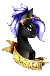 Size: 1054x1600 | Tagged: safe, artist:minelvi, derpibooru import, oc, oc only, oc:cloudy night, earth pony, pony, bust, earth pony oc, eyelashes, simple background, solo, transparent background