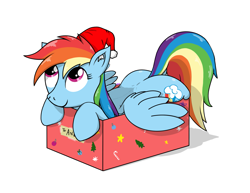 Size: 2391x1845 | Tagged: safe, artist:eel's stuff, rainbow dash, pegasus, pony, box, cute, cutie mark, dashabetes, ear fluff, featured image, female, if i fits i sits, looking up, magenta eyes, mare, present, rainbutt dash, santa hat, simple background, smiling, white background, wings