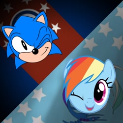 Size: 768x768 | Tagged: safe, artist:thatradhedgehog, derpibooru import, rainbow dash, pegasus, pony, crossover, crossover shipping, equestrian flag, female, male, shipping, sonic the hedgehog, sonic the hedgehog (series), sonicdash, straight