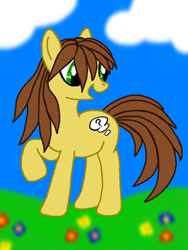 Size: 768x1024 | Tagged: safe, artist:agentkit95, derpibooru import, oc, oc only, earth pony, pony, cloud, earth pony oc, flower, grass, looking back, raised hoof, solo