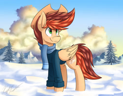 Size: 3200x2500 | Tagged: safe, artist:kaylerustone, derpibooru import, oc, oc only, oc:kayle rustone, pegasus, pony, clothes, cloud, dawn, looking up, male, mountain, scarf, snow, stallion, sweater, tree