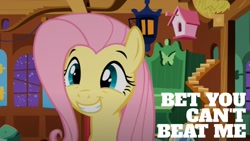 Size: 1920x1080 | Tagged: safe, derpibooru import, edit, edited screencap, editor:quoterific, screencap, fluttershy, pegasus, pony, stare master, solo