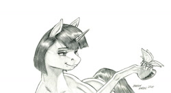 Size: 1500x815 | Tagged: safe, artist:baron engel, derpibooru import, oc, oc only, oc:marble vein, butterfly, pony, unicorn, female, grayscale, looking at something, mare, monochrome, pencil drawing, solo, story included, traditional art