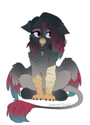 Size: 915x1280 | Tagged: safe, artist:share dast, derpibooru import, oc, oc only, oc:caiya, griffon, bandage, chest fluff, eared griffon, female, griffon oc, simple background, sitting, solo, white background