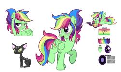 Size: 3984x2364 | Tagged: safe, artist:bebraveforme, derpibooru import, oc, oc:color crush, cat, pegasus, pony, female, magazine, magical lesbian spawn, mare, offspring, parent:rainbow dash, parent:tree hugger, parents:rainbowhugger, reference sheet, simple background, solo, transparent background