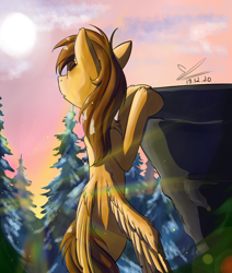 Size: 1070x1259 | Tagged: safe, artist:yuris, derpibooru import, oc, oc only, pegasus, pony, dawn, pine tree, rock, solo, tree