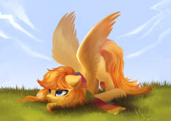 Size: 4093x2894 | Tagged: safe, artist:sofiko-ko, derpibooru import, oc, oc only, oc:amber dart, pegasus, pony, clothes, disgruntled, female, freckles, high res, mare, scarf, solo, spread wings, wings