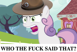 Size: 1648x1099 | Tagged: safe, derpibooru import, sweetie belle, unicorn, angry, caption, drill sergeant, female, filly, full metal jacket, gunnery sergeant hartman, hat, meme, school, tree, two toned mane, two toned tail, vulgar, yelling